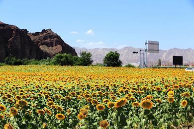 《鬼灭之刃 火之神血风谭2》追加可操作角色的全新PV公开 