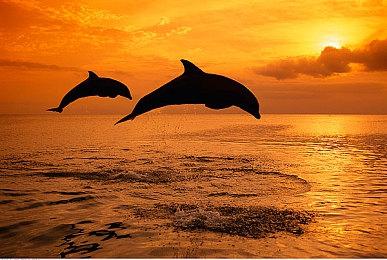 沉浸式古代世家经营 《吾今有世家》抢先体验版 5 月 15 日上线 售价 58 元